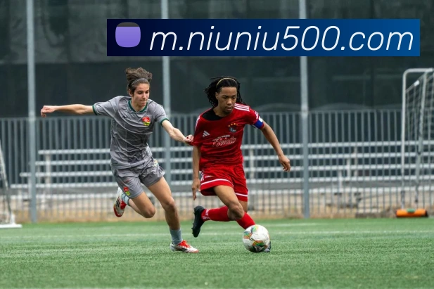 500彩票服务体系